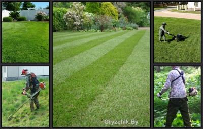 Покос травы и стрижка газонов